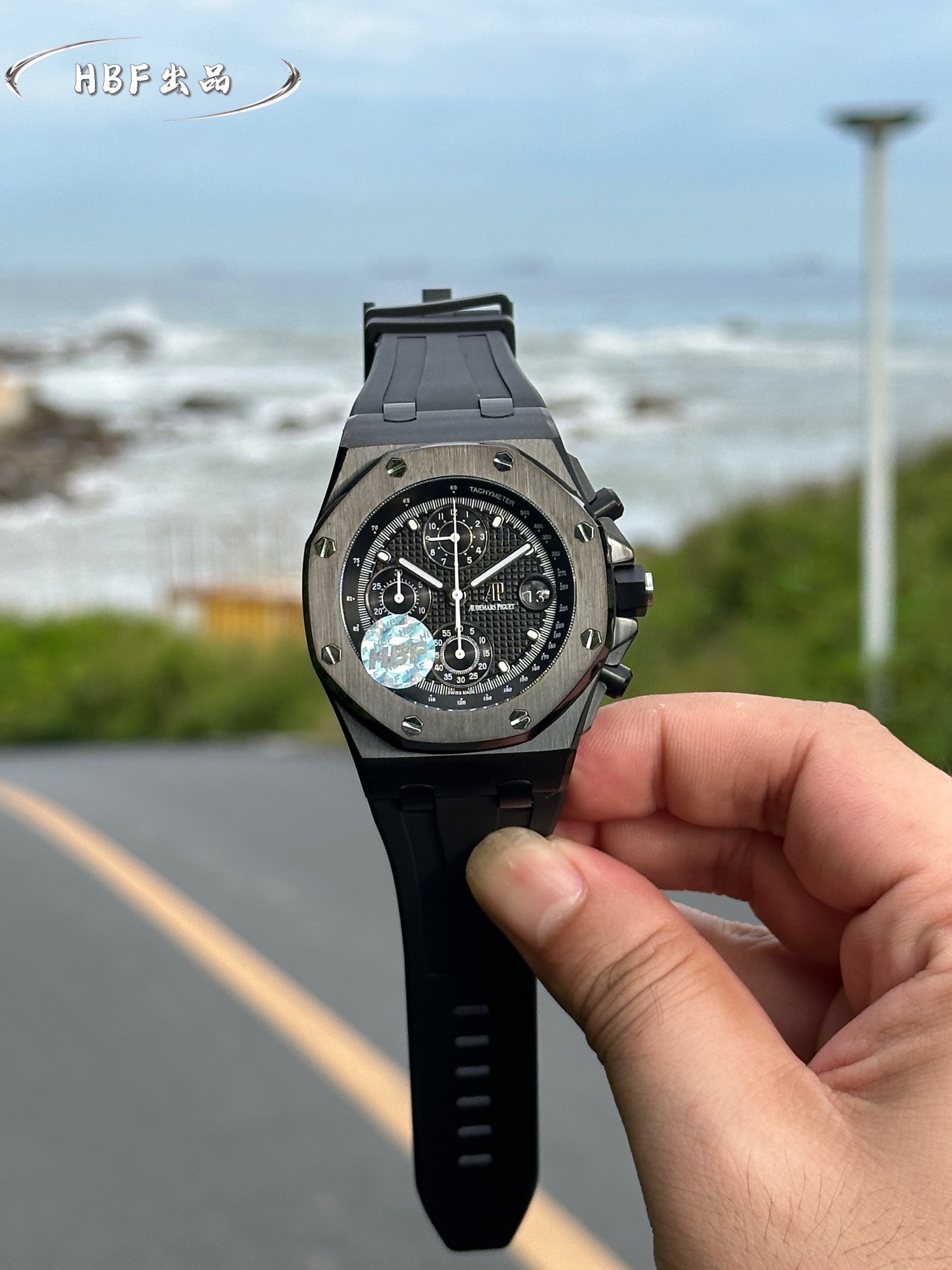 Audemars Piguet watch